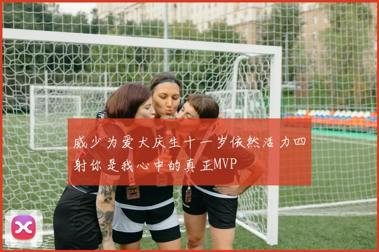 威少为爱犬庆生十一岁依然活力四射你是我心中的真正MVP