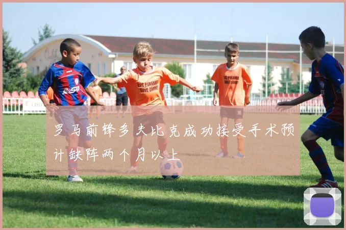 罗马前锋多夫比克成功接受手术预计缺阵两个月以上