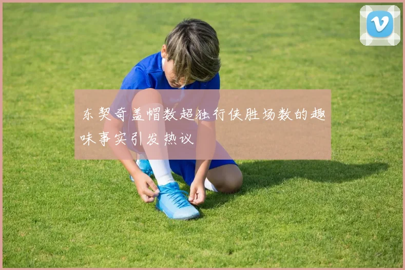 东契奇盖帽数超独行侠胜场数的趣味事实引发热议