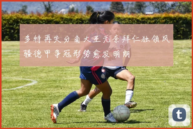 多特再失分南大王无奈拜仁独领风骚德甲争冠形势愈发明朗